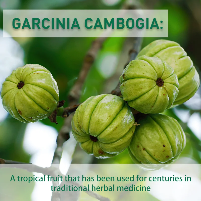 Capsule di Garcinia Cambogia:  - Garcinia Cambogia Extract recensione e prezzo