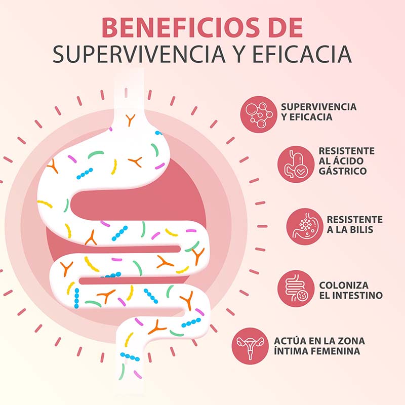 PROBIOTICOS MUJER Capsule - Ai - Probiotics Women Health recensione e prezzo